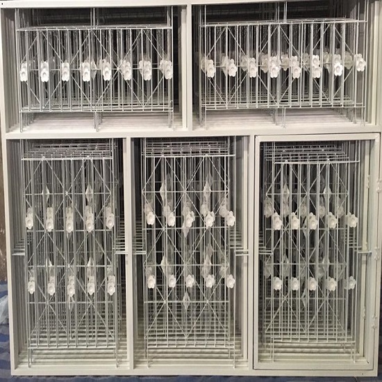 รับงานพ่นสีอบจากร้านเหล็กดัด สีอบประตูหน้าต่าง รับงานพ่นสีอบจากร้านเหล็กดัด สีอบประตูหน้าต่าง